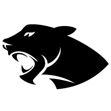 Panther Partnership Ltd logo
